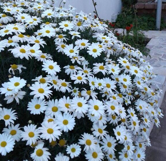 مبيت وإفطار Borgo Manfria