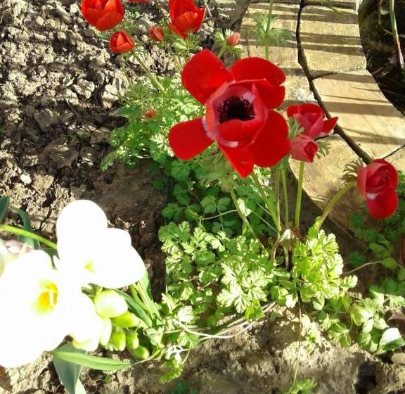 مبيت وإفطار Borgo Manfria