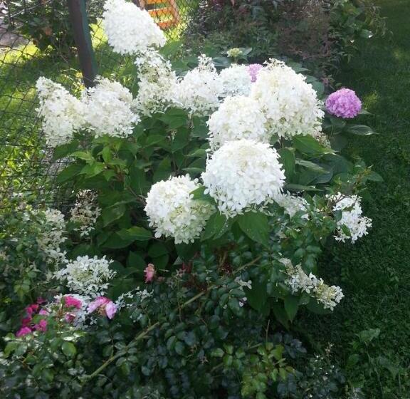 Bed and Breakfast La Casa Di Clara