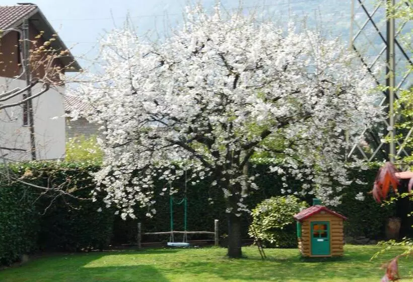 Aamiaismajoitus (B&B) La Casa Di Clara