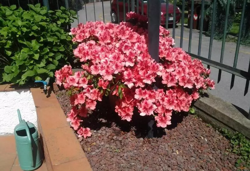 ホテル Arcobaleno