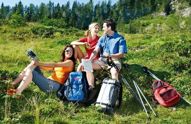 ホテル Der Alpenhof Maria Alm