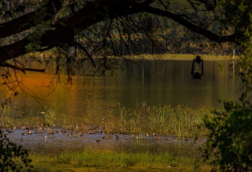 Отель Dev Shree Deogarh