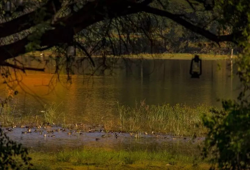 Hotel Dev Shree Deogarh