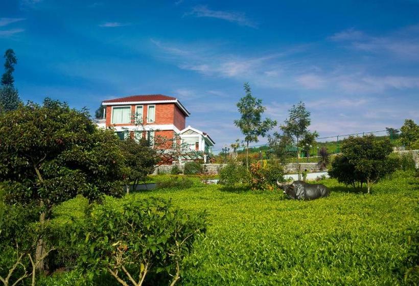 Western Valley Resorts