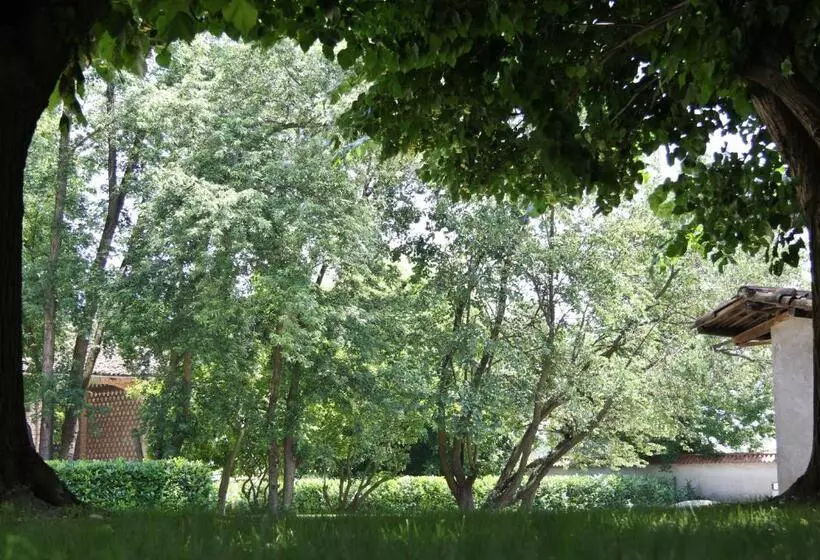 Aamiaismajoitus (B&B) Tenuta Ajrale