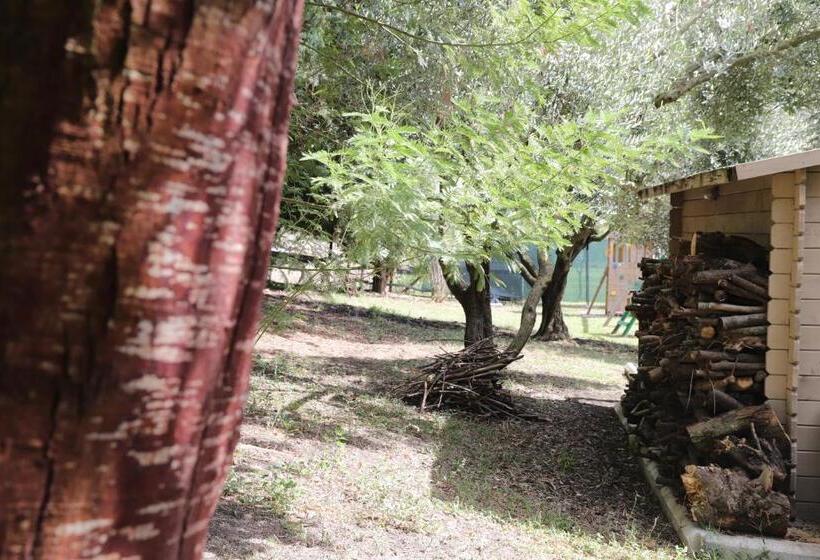 B&b Le Colline Country House