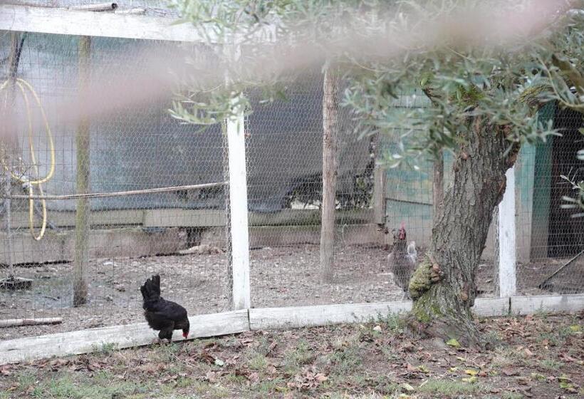 B&b Le Colline Country House