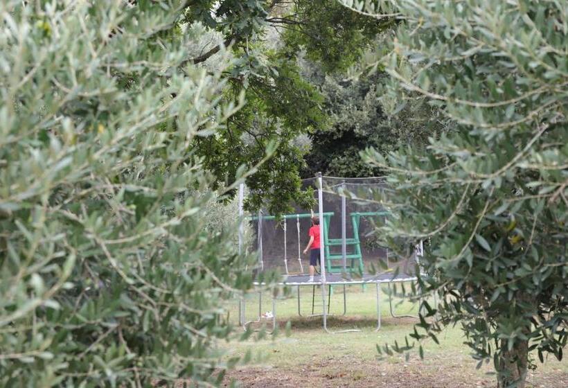 B&b Le Colline Country House