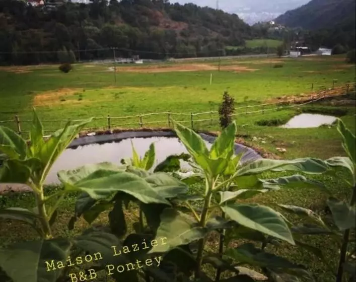 تختخواب و صبحانه Maison Lazier