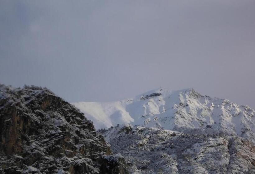 住宿加早餐 Maison Lazier