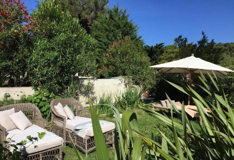 住宿加早餐 Mediterranea Luxury House