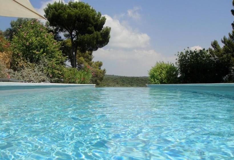 住宿加早餐 Mediterranea Luxury House