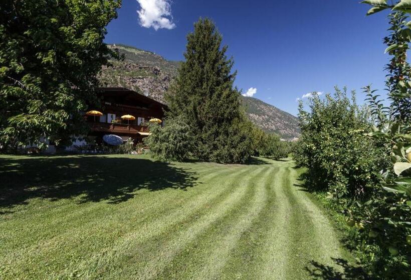 Garni   Hotel Rinner Julia