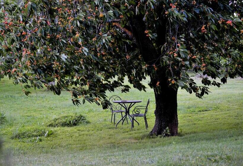 Garni   Hotel Rinner Julia