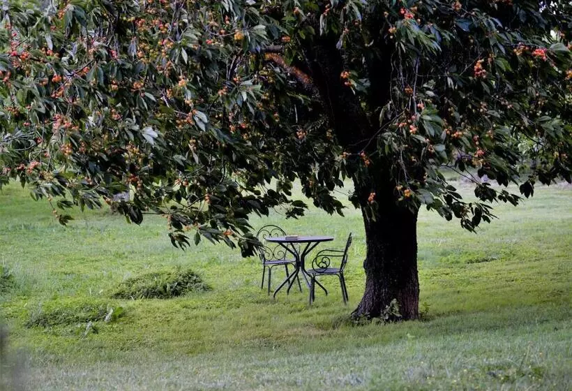 Garni   Hotel Rinner Julia