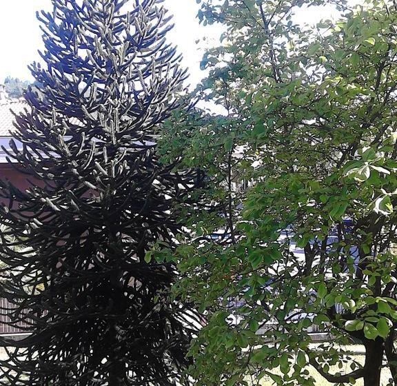 酒店 La Séca   Antico Albergo Alzese