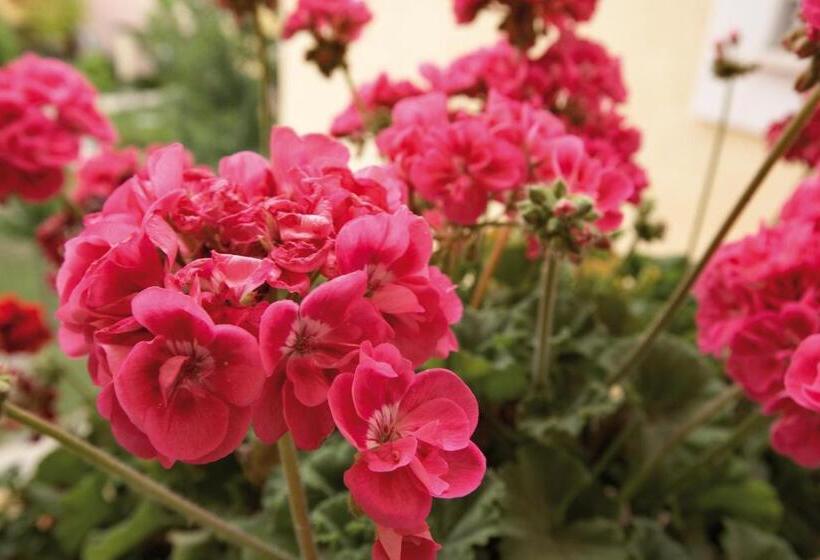 אתר נופש Argonauti Residence