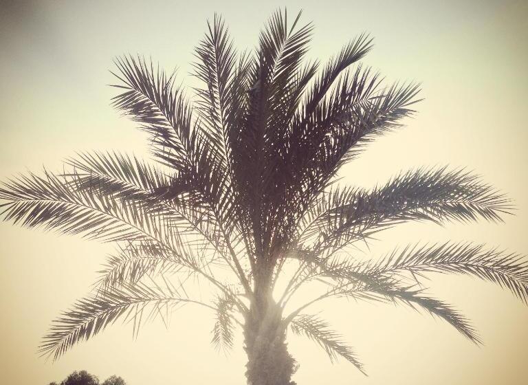 אתר נופש Argonauti Residence