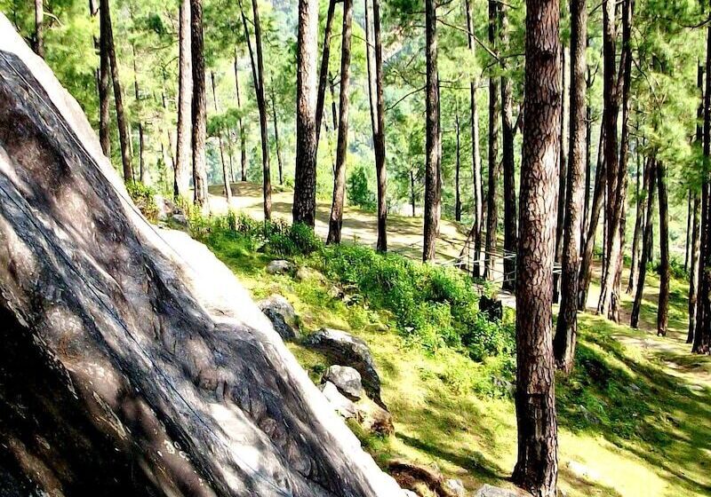 Shikhar Nature Resort