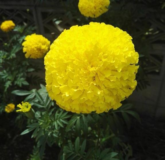 호스텔 Guesthouse Seghetto