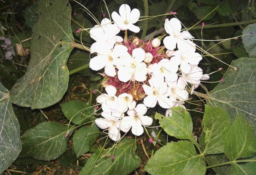 호스텔 Guesthouse Seghetto