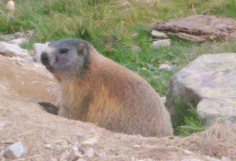 호스텔 Guesthouse Seghetto