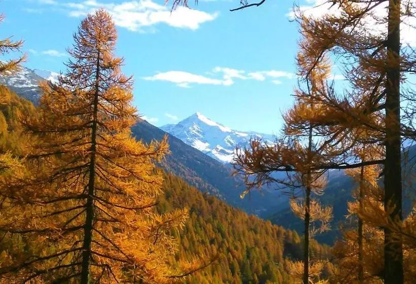 Retkeilymaja Guesthouse Seghetto