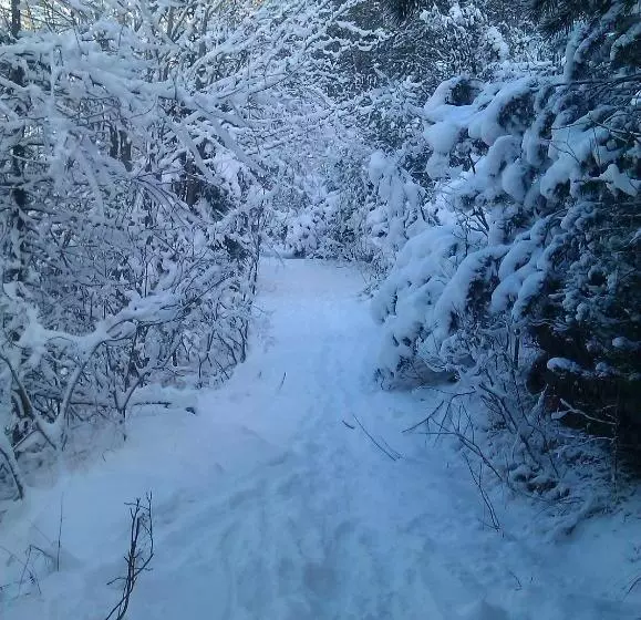 Retkeilymaja Guesthouse Seghetto