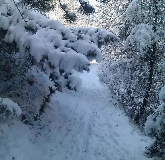 Retkeilymaja Guesthouse Seghetto