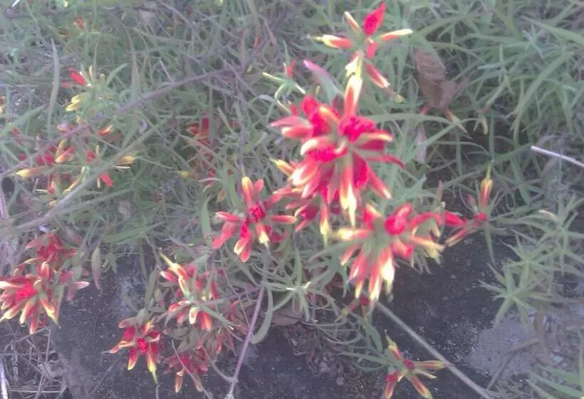 Retkeilymaja Guesthouse Seghetto