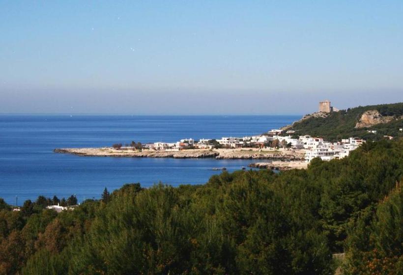 ベッドアンドブレックファースト Casa Dei Glicini