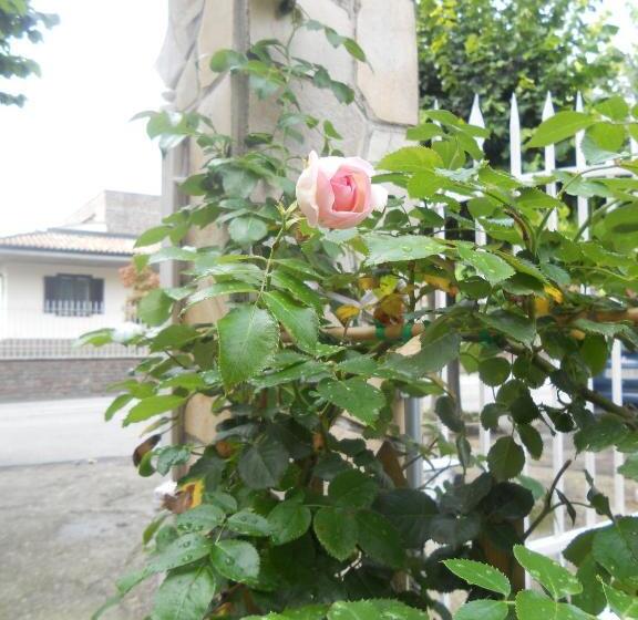 ベッドアンドブレックファースト Beb Villa Aurora