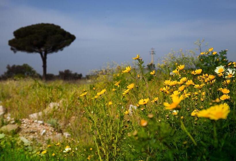 住宿加早餐  Bonjour