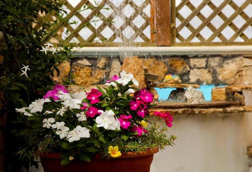 住宿加早餐  Bonjour