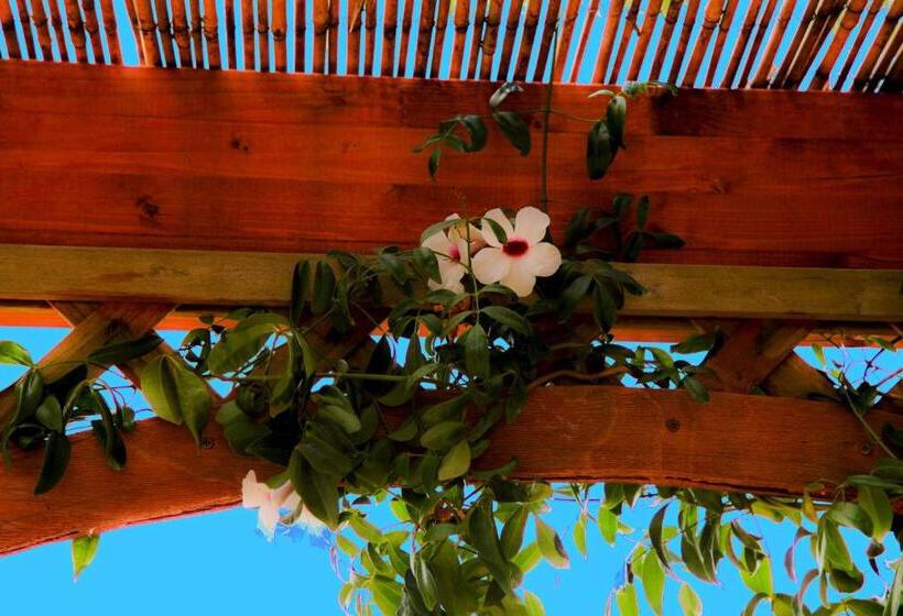 住宿加早餐  Bonjour