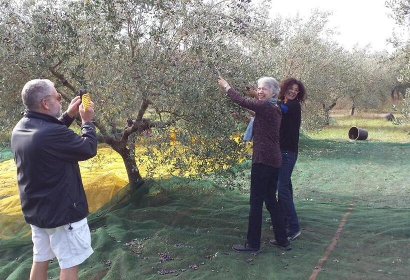 Bed and Breakfast Casina Romita