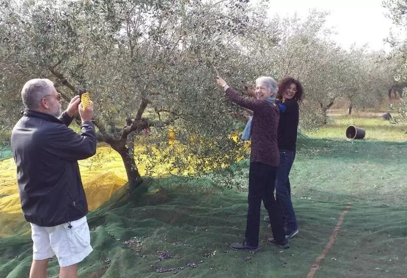 Aamiaismajoitus (B&B) Casina Romita