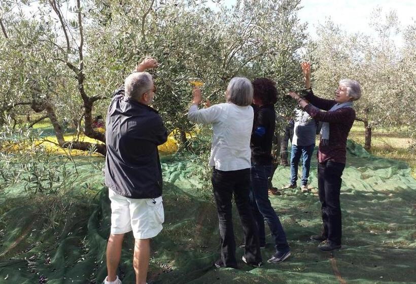 Bed and Breakfast Casina Romita