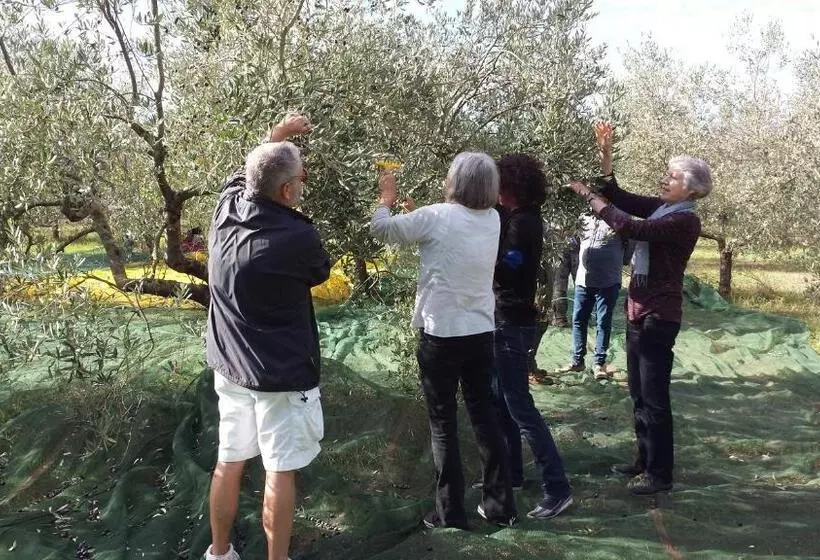 Aamiaismajoitus (B&B) Casina Romita