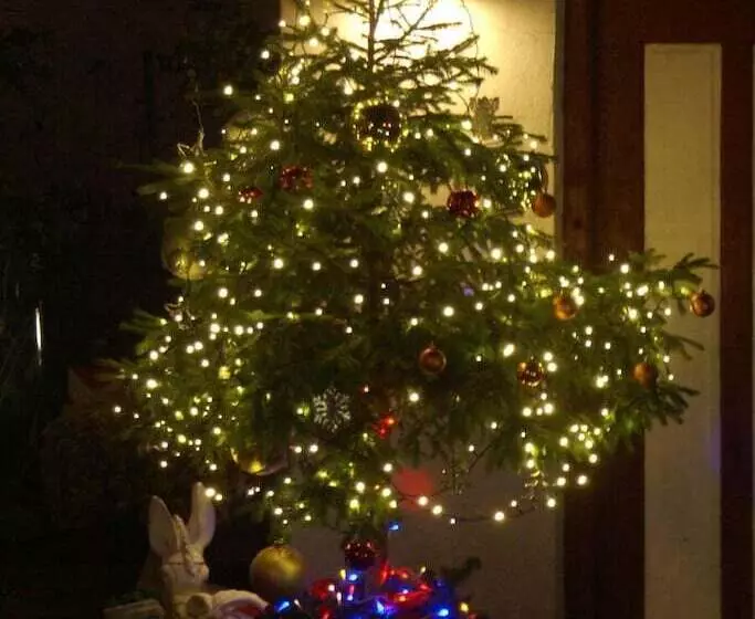 تختخواب و صبحانه Garni Villa Betty