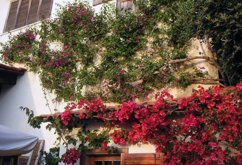 تختخواب و صبحانه La Fusarella Villa Santoro