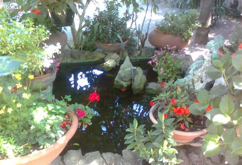 تختخواب و صبحانه La Fusarella Villa Santoro