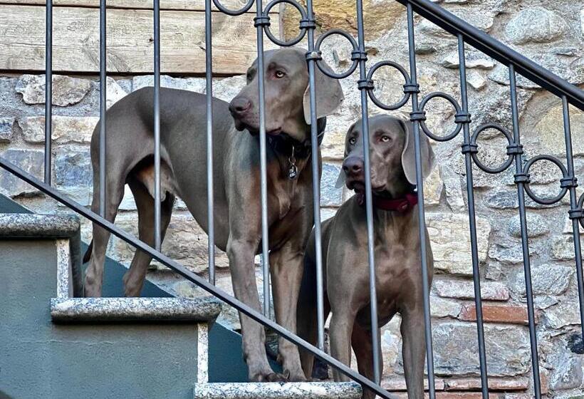 Heidi Bed And Breakfast