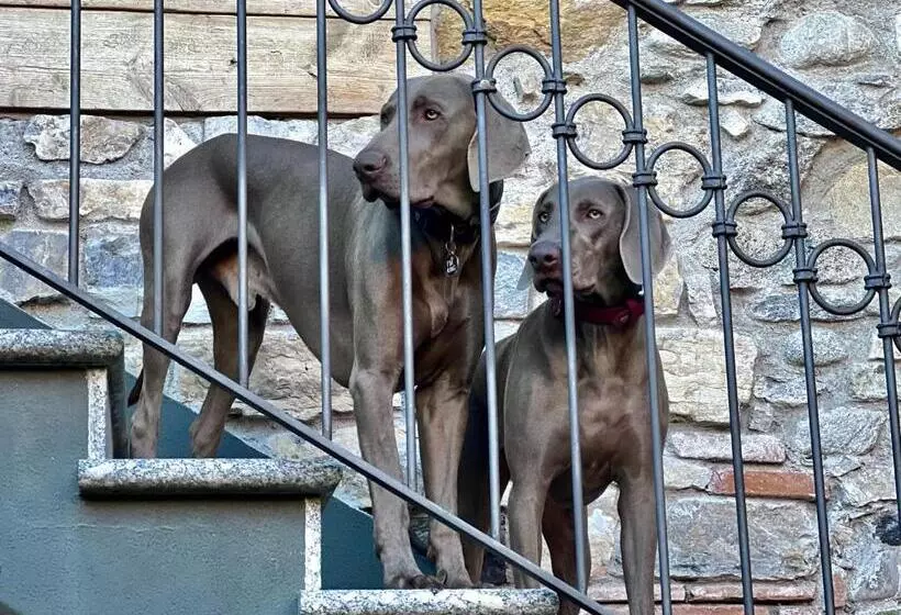 Heidi Bed And Breakfast