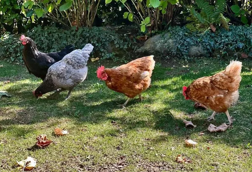 Heidi Bed And Breakfast