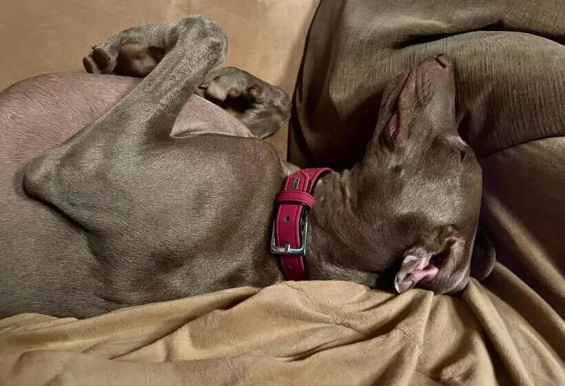 Heidi Bed And Breakfast