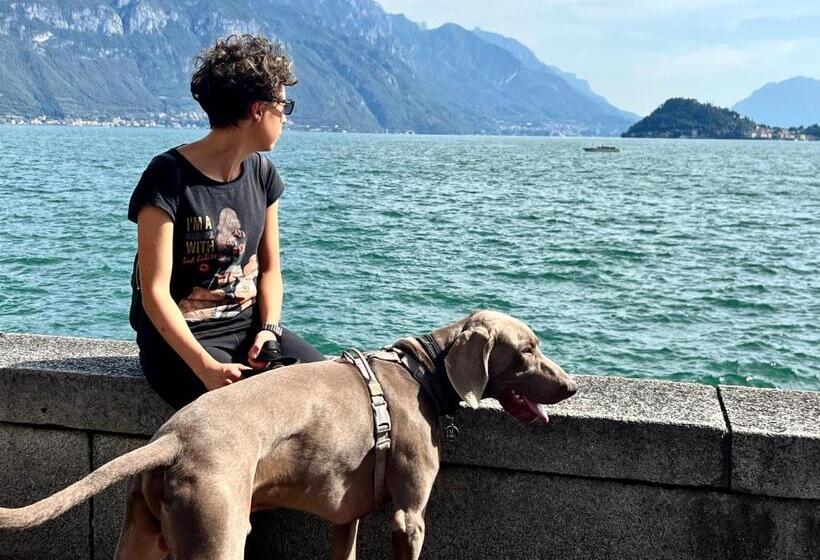 Heidi Bed And Breakfast