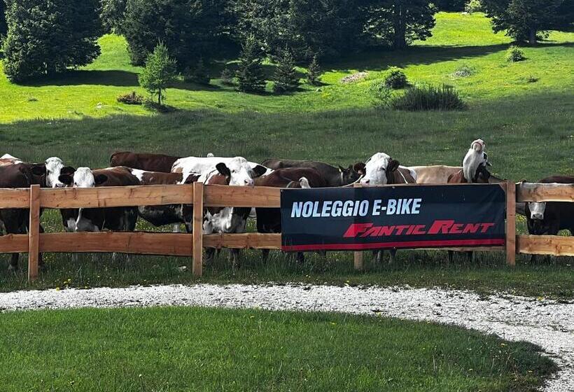 Malga Millegrobbe Nordic Resort