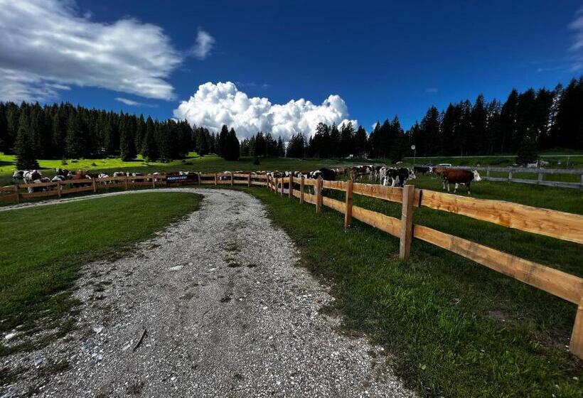 Malga Millegrobbe Nordic Resort